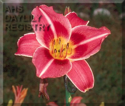 Michianna Border AHS image