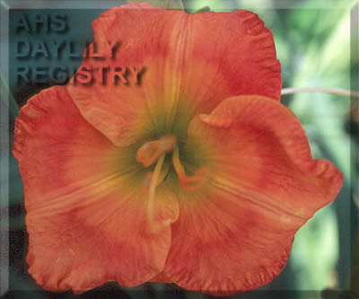 Tropical Sensation AHS image
