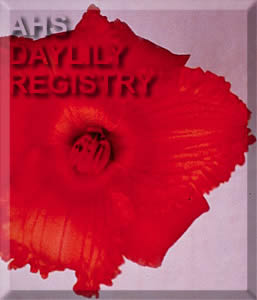 Strawberry Frills