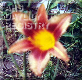 Fencylvania Fipudelot AHS image