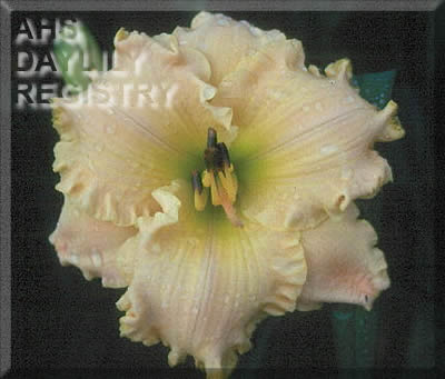 Arcadia Plantation AHS image