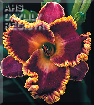 John Peat AHS image