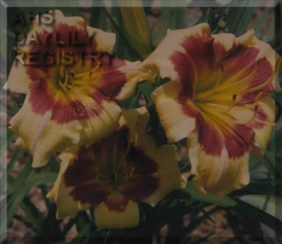 Patsy Jane AHS image