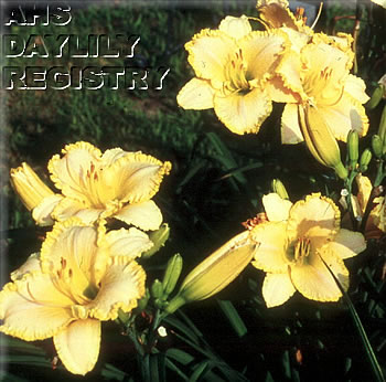 Al Abel