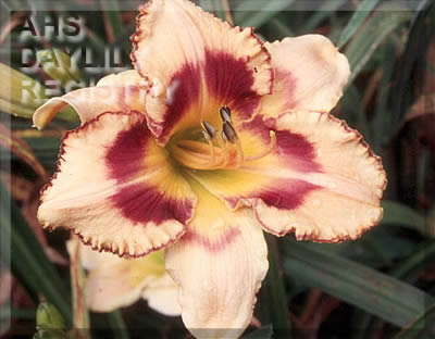 Lillie May AHS image
