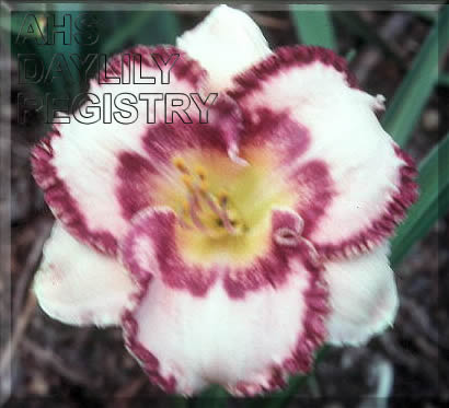 Aunt Elizabeth AHS image