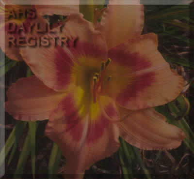 Joyful Reflections AHS image