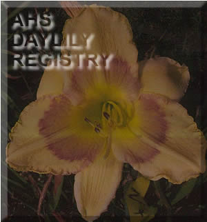 Nell's Pick AHS image