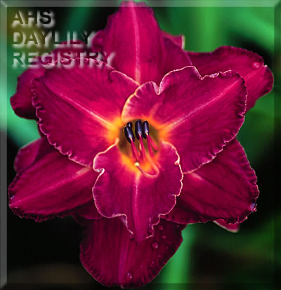 Trials of Life AHS image