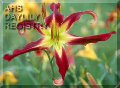Heavenly Breezes AHS image