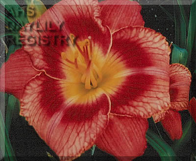 Sparks Veins of Glory AHS image