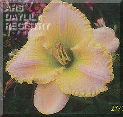 Walk in the Clouds AHS image