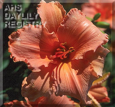 Garden Prairie AHS image