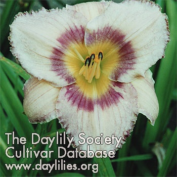 Dew Point AHS image