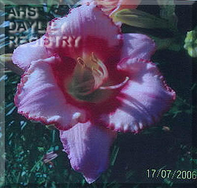 Fond Memories of Mary AHS image