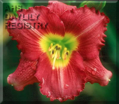 Jack Romine Legacy AHS image