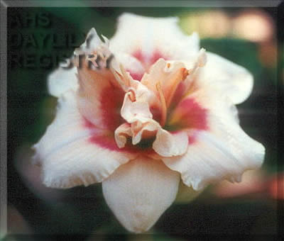 Pully Bone AHS image