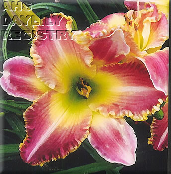 Calling All Gardeners AHS image