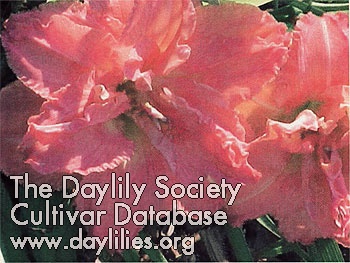 Smiley Jim Jamer