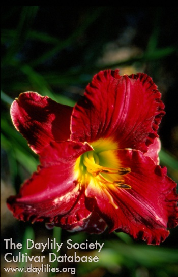 Sagamore Mark Boden AHS image