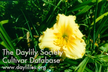 Mary Belle Belin AHS image