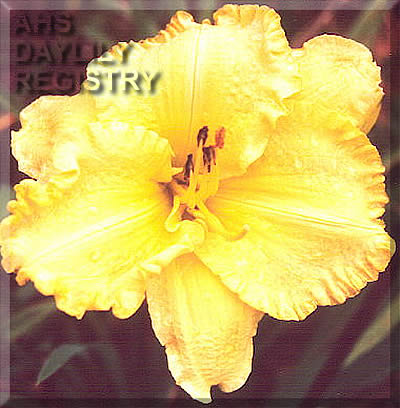 Jean McDevitt AHS image