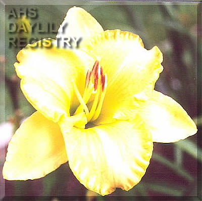 Hank AHS image