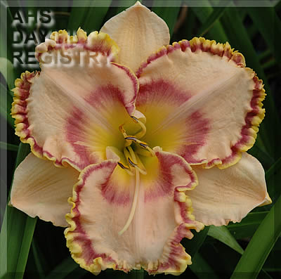 Betty Powell AHS image