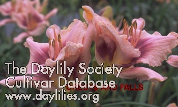 Crests and Falls AHS image