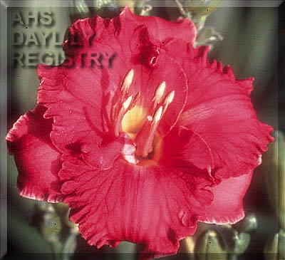 Jolly Good Fellow AHS image