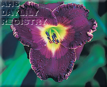 Journey to Ixtlan AHS image