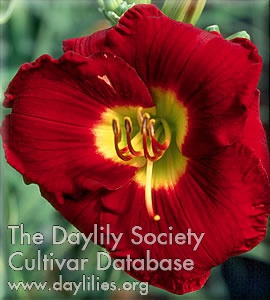 Crimean Crimson AHS image