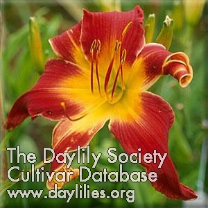 Reed's Sixty-fifth AHS image