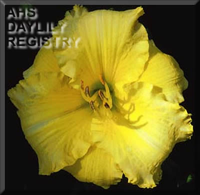 Canyon De Oro AHS image