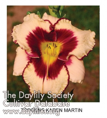 Topguns Karen Martin AHS image