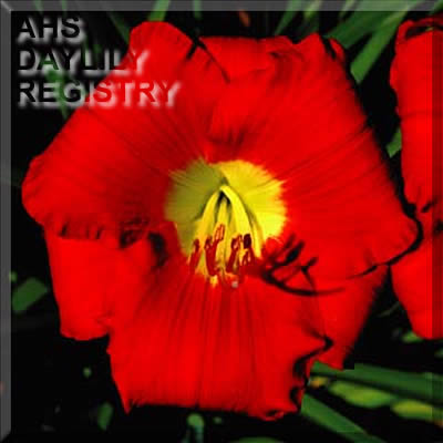 Ardent Persuasion AHS image