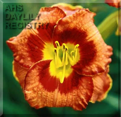 Celebration in Tahiti AHS image