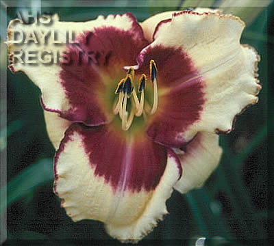 Eye of the Beholder AHS image