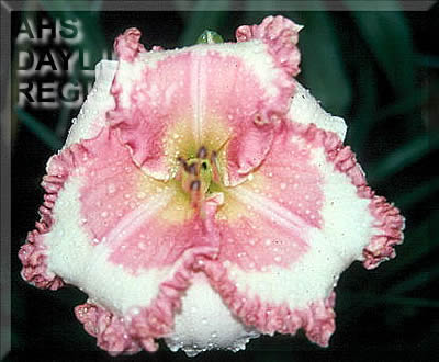 Ida Belle Deboer AHS image