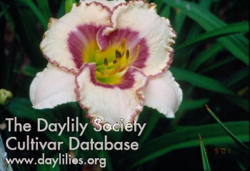 Dorothy Roberts AHS image