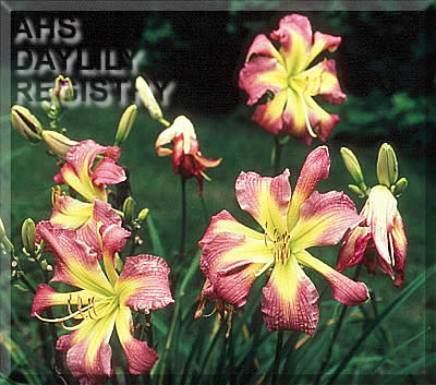John R. Pike AHS image