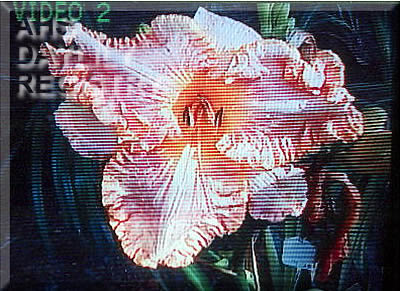 Flying Angel AHS image