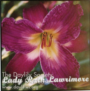 Lady Ruth Lawrimore AHS image