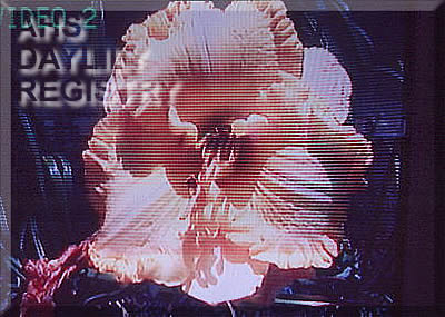 Georgia Tech AHS image