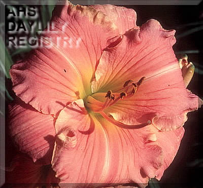 Mary Jane Herr AHS image