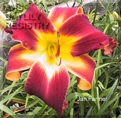Jan Farmer AHS image