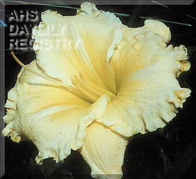 Tara Owen AHS image