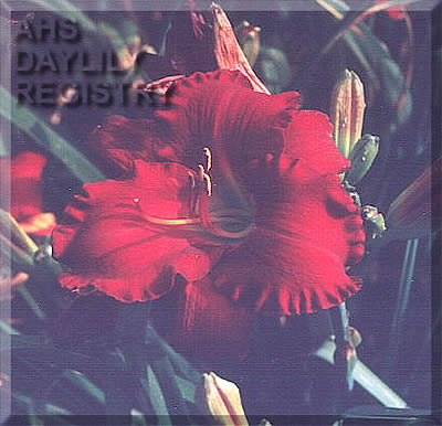 Garden Commissar AHS image