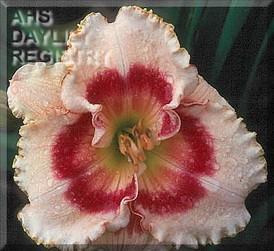 Lips of Desire AHS image