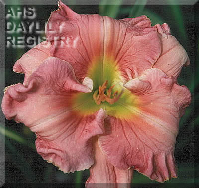 Pastel Ripples AHS image
